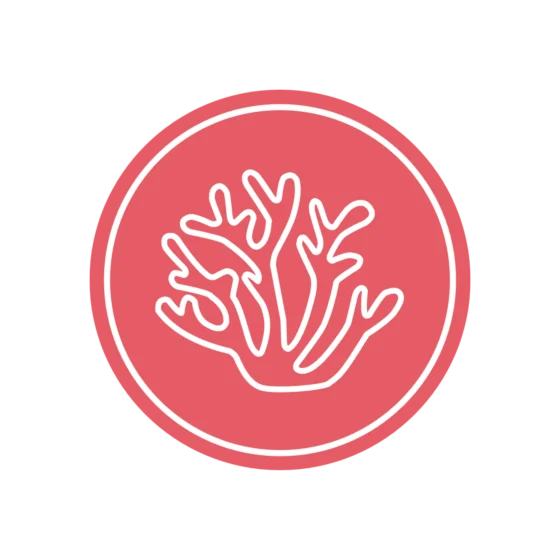 Algas - Ismael Quesada Personal Care