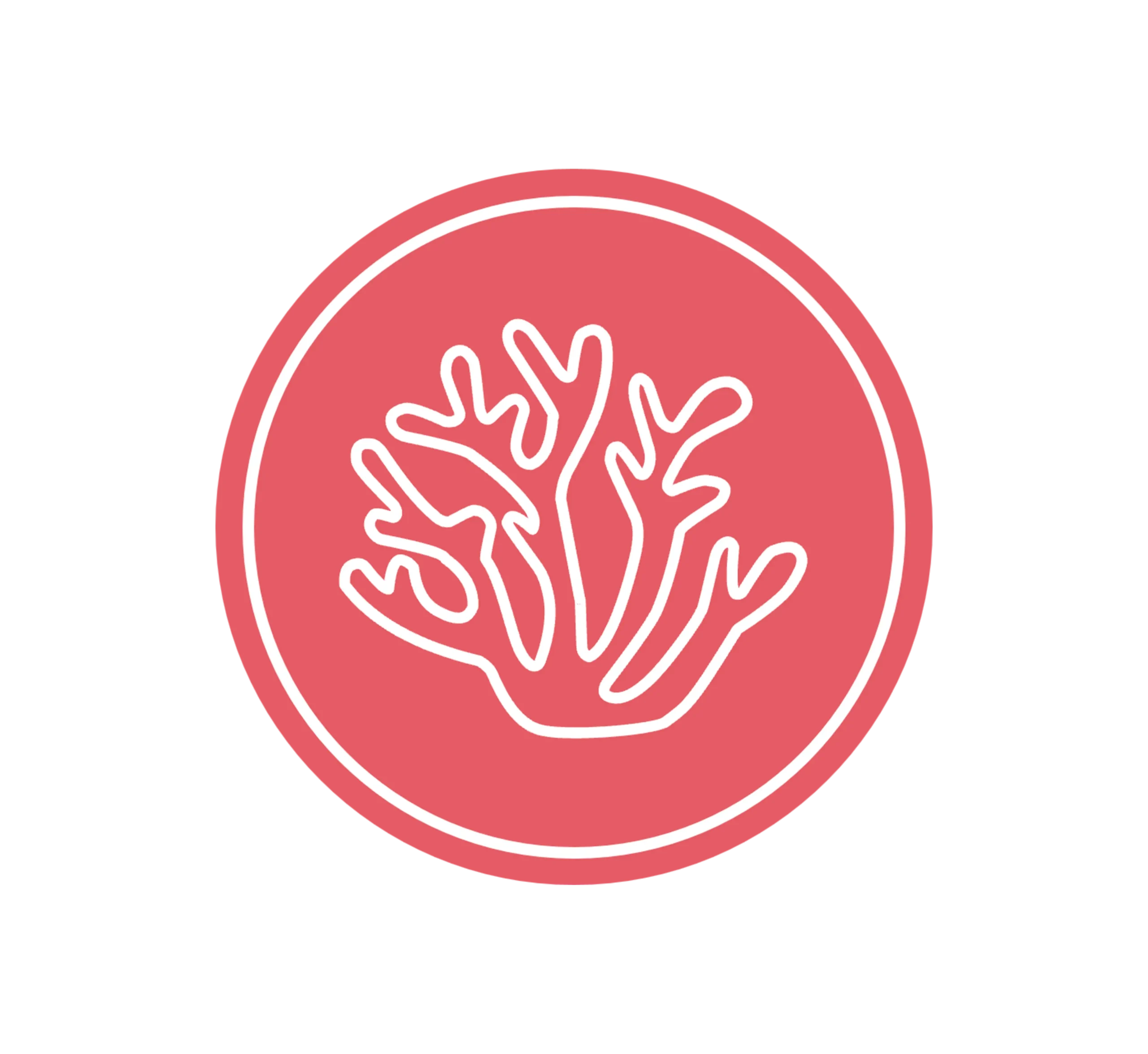 Algas - Ismael Quesada Personal Care