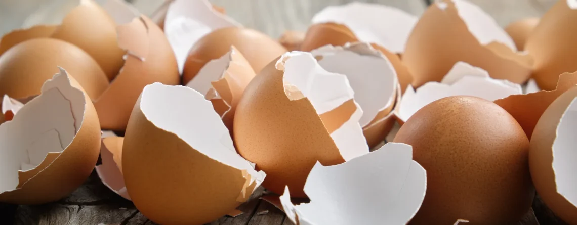 Cáscaras de huevo sobre una superficie de madera, subproducto utilizado para obtener la membrana de huevo (Eggshell Membrane, ESM) destinada a aplicaciones cosméticas.