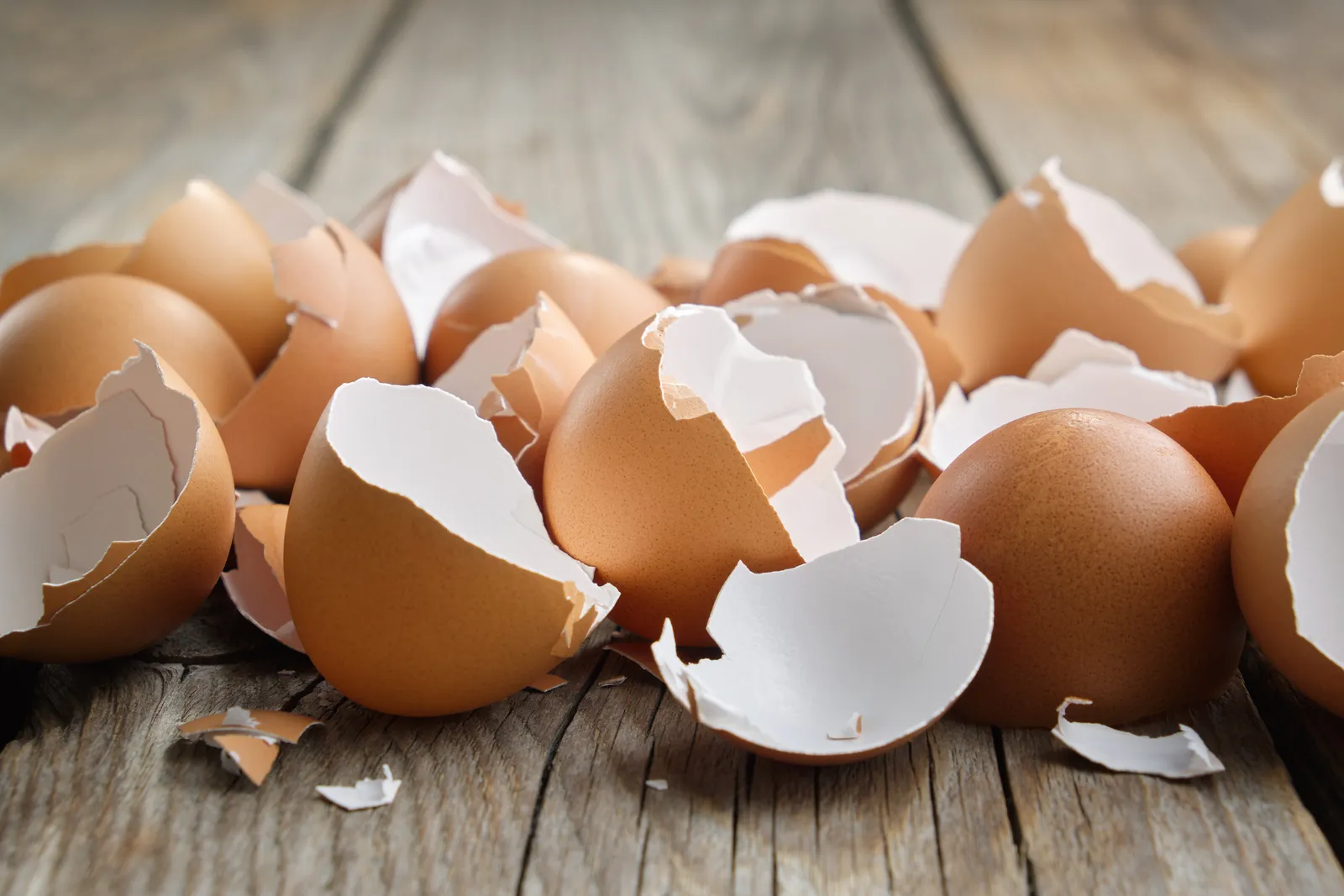 Cáscaras de huevo sobre una superficie de madera, subproducto utilizado para obtener la membrana de huevo (Eggshell Membrane, ESM) destinada a aplicaciones cosméticas.